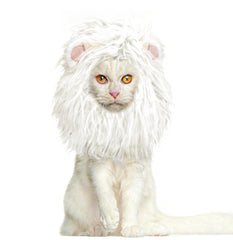 Onmygogo melena de león para gatos, vista frontal, ideal para fiestas.