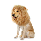 Onmygogo melena león para perro mediano, aspecto realista y llamativo.