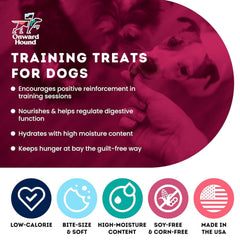 Onward Hound salmón: proteína de origen único ideal para perros durante adiestramiento.