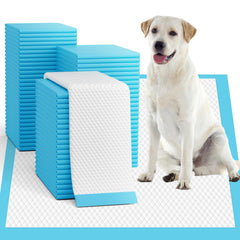 Pañitos para cachorros Oomicat 34x28 extralargo para entrenamiento diario