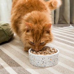 Open Farm Gato Completa Dieta Deshidratada: porciones listas para servir.