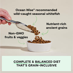 Open Farm pescado blanco salvaje para dieta rica en proteínas