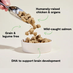 Open Farm Puppy Morsels: órganos seleccionados para nutrición equilibrada.