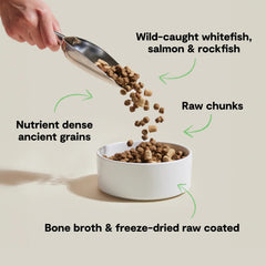 Open Farm RawMix para perros: trozos crudos liofilizados con pescado blanco.