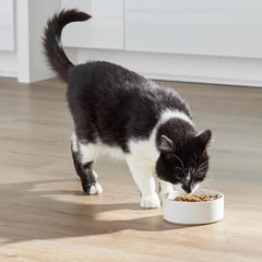Open Farm RawMix sin granos para gatos, dieta equilibrada y fácil de digerir.