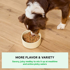 Open Farm textura suave en comida húmeda, fácil de comer para perros