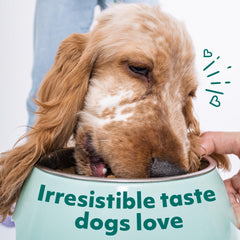 Optimeal proteína alta para perros adultos pequeños, apoyo muscular.