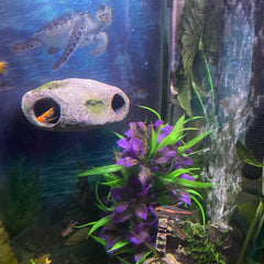 OrnaMounts textura-roca-realista: aspecto natural para combinar con el acuario.