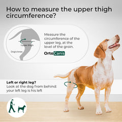 Ortocanis rodillera perro neopreno alta flexibilidad permite movilidad cómoda.