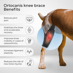 Ortocanis rodillera para perro, uso diario cómodo y ligero.