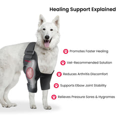 Protector de codo Oteengo para perros: soporte para articulaciones y movilidad diaria