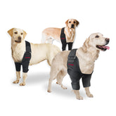 Protector de codo Oteengo para perros: ayuda a prevenir callos y rozaduras