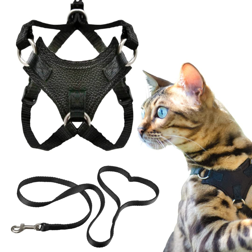 Arnés OutdoorBengal a prueba de escapes para paseos seguros de tu gato.