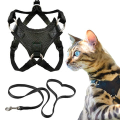 Arnés OutdoorBengal a prueba de escapes para paseos seguros de tu gato.