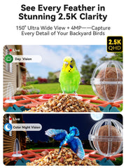 Outinput expulsión de ardillas para mantener la comida de aves estable.