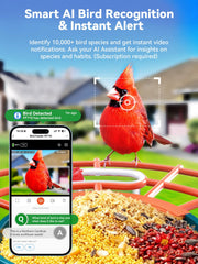 Outinput identificación IA de aves para ampliar tu colección de observación.