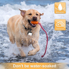 Outopest luz de collar IP65, resistente a lluvia para aventuras.
