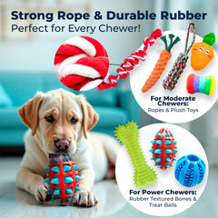 Pacific Pups Juguete cuerda para perro, perfecto para tirar y traer.