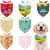 Bandana Pai Sence para perro con hojas de otoño, ideal para paseos otoñales