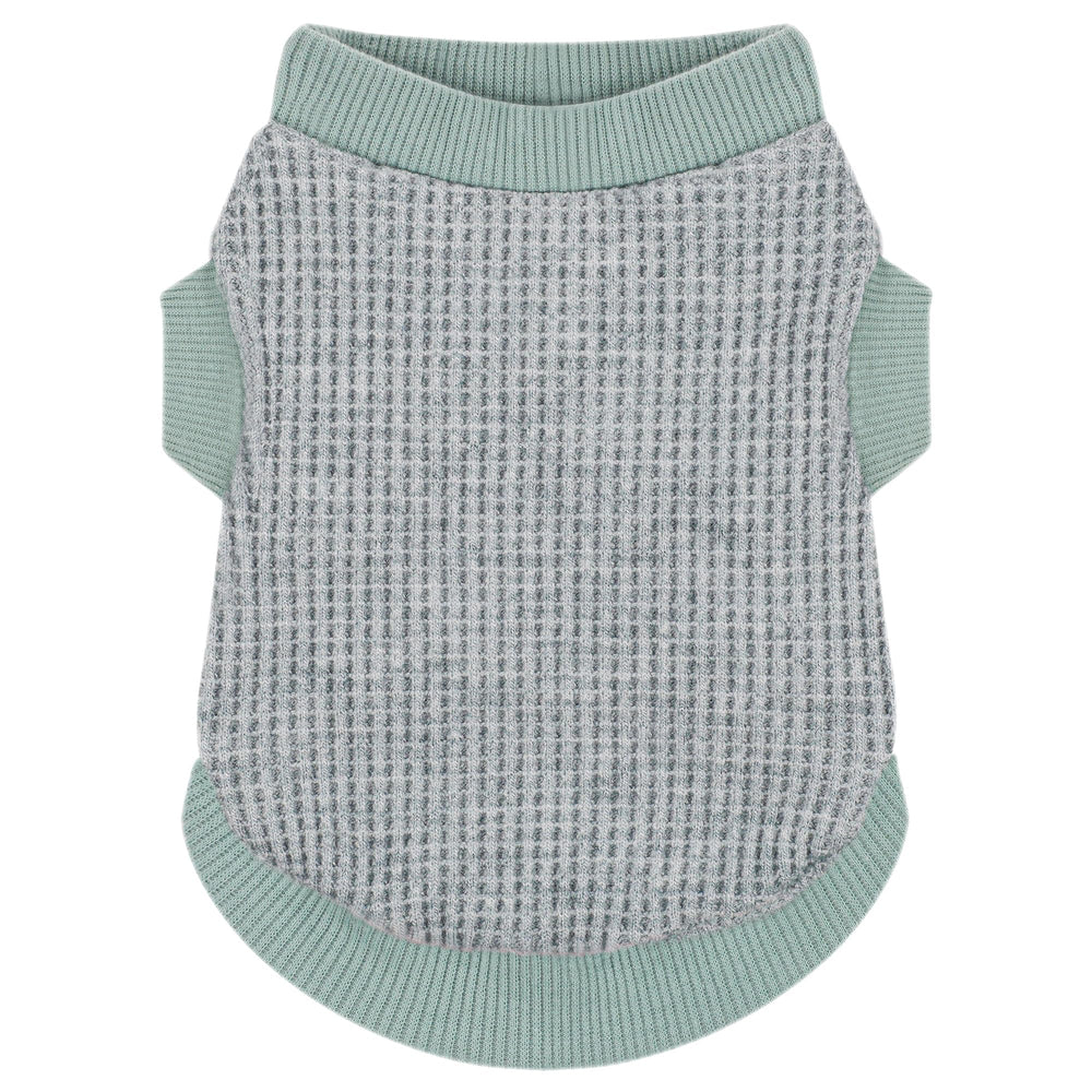Camiseta Paiaite para perro pequeño verde, frente para uso diario.