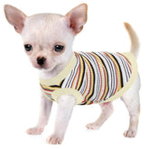 Paiaite: frente de la camiseta para perro, tejido suave ideal para paseos diarios.