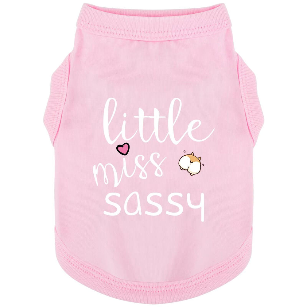 Paiaite camiseta para perro sin mangas con diseño de pequeña dama descarada, ideal para paseos.