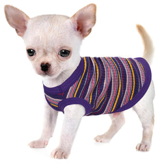 Paiaite camiseta sin mangas vista frontal para perro pequeño, cómodo