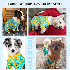 Paiaite pijama para perro absorbe humedad y mantiene al animal cómodo.