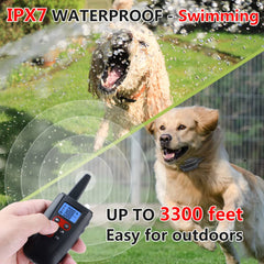 Paipaitek collar IPX7 impermeable, ideal para exteriores