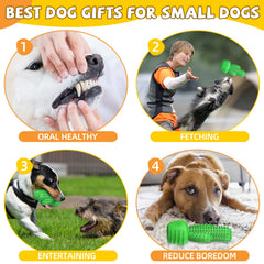 Pamlulu cepillo dental para perros, limpieza de dientes durante el juego
