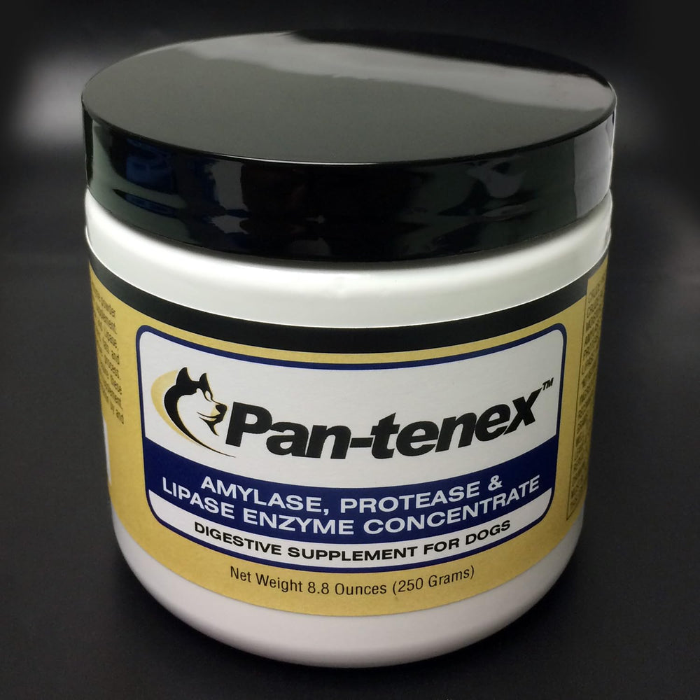 Pan-tenex empaque frontal, suplemento enzimático para perros que apoya la digestión.