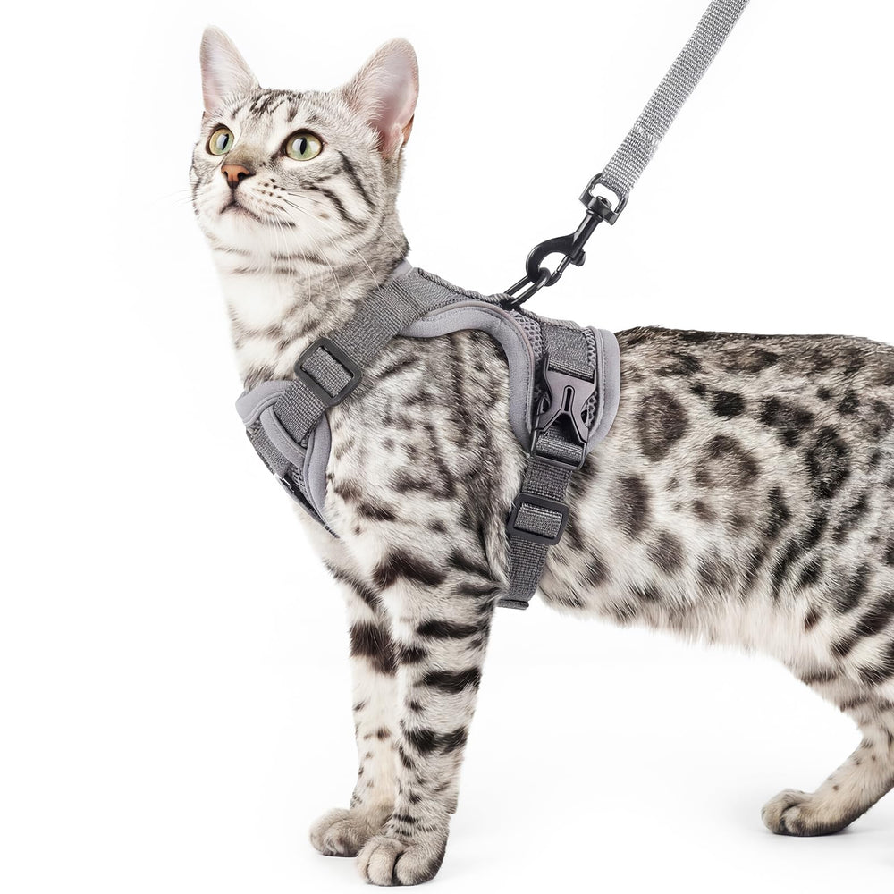 Pangdi arnés para gato con ajuste total para paseos seguros.