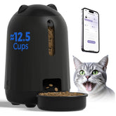 PAPIFEED alimentador automático para gatos con app de control.