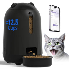 PAPIFEED alimentador automático para gatos con app de control.