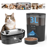 PAPIFEED alimentador automático para gatos con cámara para vigilar comidas.