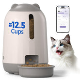 PAPIFEED: alimentador automático para gatos con aplicación para programar comidas.