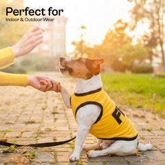 Camiseta Parisian Pet Diseño una pieza fácil de colocar y ajuste cómodo.