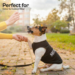 Parisian Pet, camiseta transpirable y ligera para días cálidos.