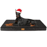Patas Lague cama ortopédica para perro gigante 56x40, superficie amplia y cómoda