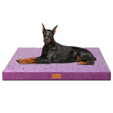 Patas Lague cama ortopedica 56x40, vista frontal, soporte cómodo para perros grandes.