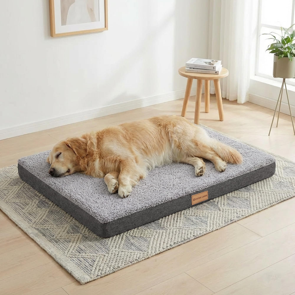 Cama ortopédica Patas Lague extra grande para perros, descanso estable.