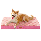Patas Lague cama para perro ortopédica mediana con soporte y confort