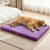 Cama ortopédica Patas Lague XL con espuma de huevo para descanso cómodo.