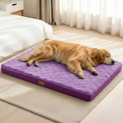 Cama ortopédica Patas Lague XL con espuma de huevo para descanso cómodo.