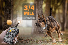 PATPET receptor impermeable IPX7 para uso al aire libre
