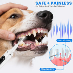 PATWING limpiador ultrasónico para placa en perros, cuidado suave y eficiente