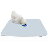 Paw Inspired Speed Spot: parche aromático para entrenamiento en casa.