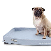 Paw Inspired Critter Box Pad muestra bordes elevados para contener derrames y facilitar el entrenamiento.
