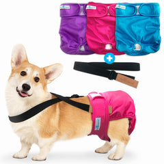 Paw Inspired pañales reutilizables para perro, vista frontal, protección contra fugas.