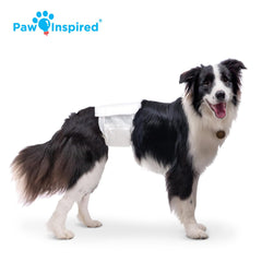 Paw Inspired Tecnología DrySpeed que convierte orina en gel para mayor absorción.